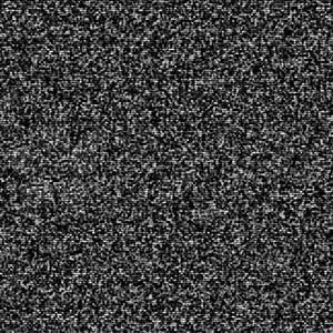 Meet your Posher, Fabiola